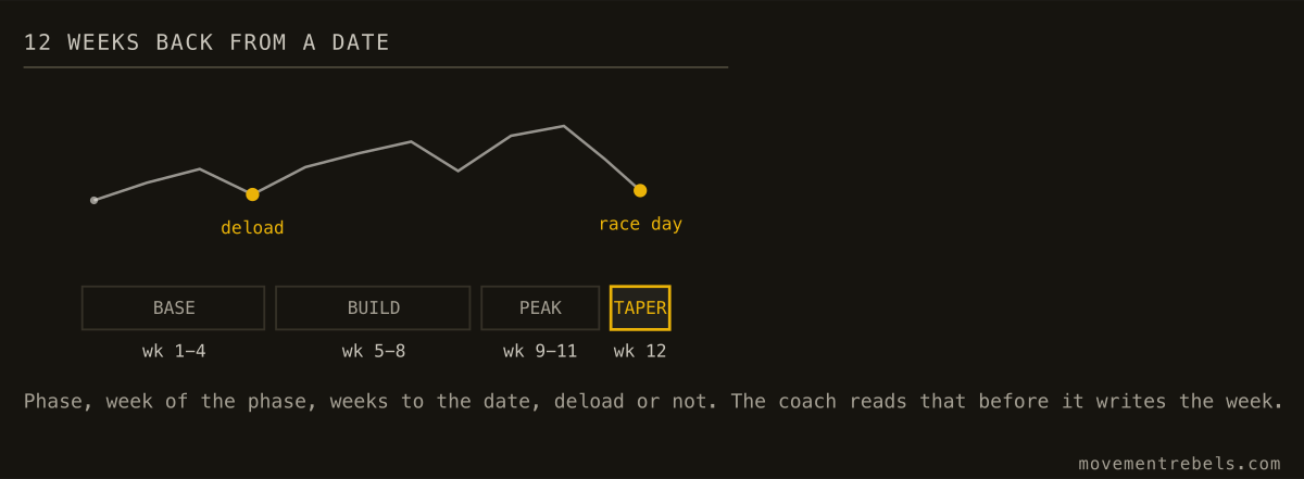 12 WEEKS BACK FROM A DATE. Every week knows how far out it is. A generated week 12 is the same roll as its week 1.
