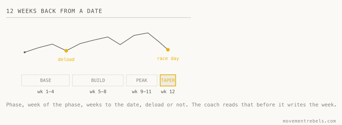12 WEEKS BACK FROM A DATE. Every week knows how far out it is. A generated week 12 is the same roll as its week 1.