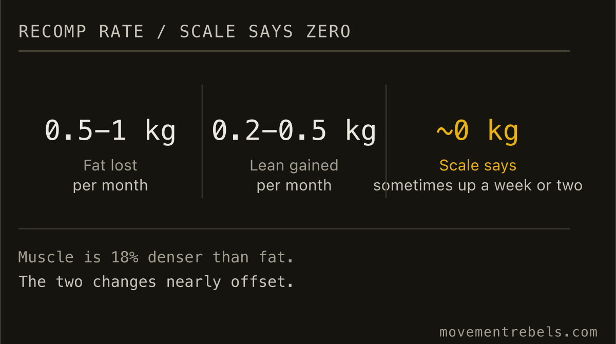 RECOMP RATE / SCALE SAYS ZERO. Fat down, muscle up, scale flat. That is recomp working, not failing.