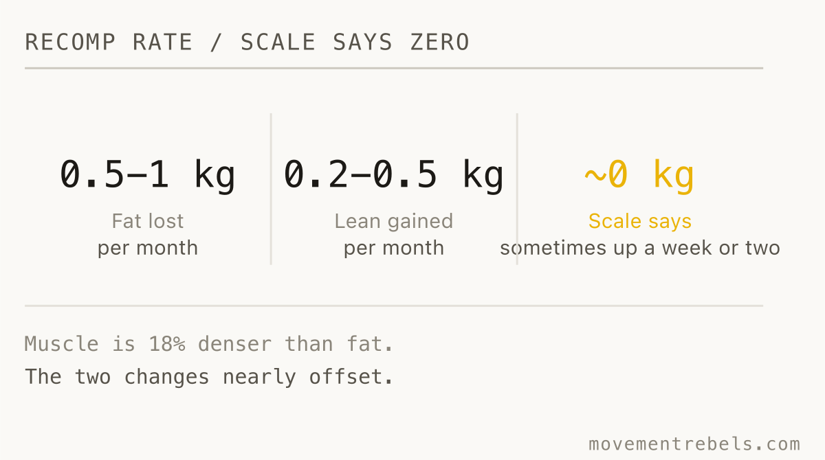 RECOMP RATE / SCALE SAYS ZERO. Fat down, muscle up, scale flat. That is recomp working, not failing.