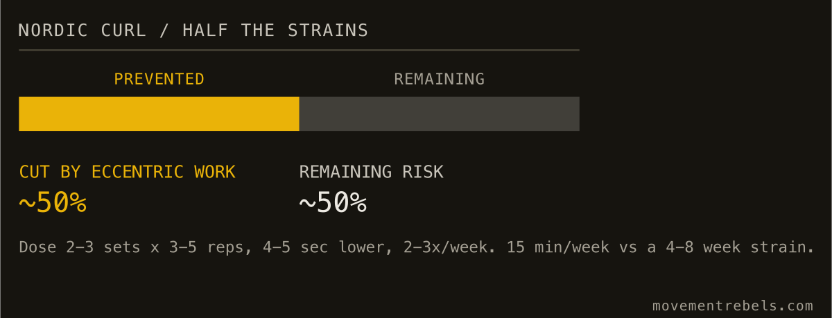 NORDIC CURL / HALF THE STRAINS. Fifteen minutes of Nordics a week. Half the hamstring strains gone.