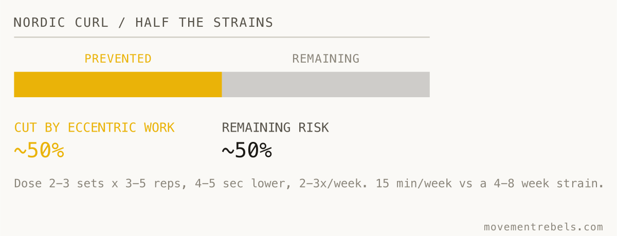 NORDIC CURL / HALF THE STRAINS. Fifteen minutes of Nordics a week. Half the hamstring strains gone.