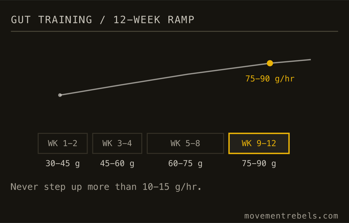 GUT TRAINING / 12-WEEK RAMP. The gut adapts over weeks, not sessions. Step up 10-15 g at a time.