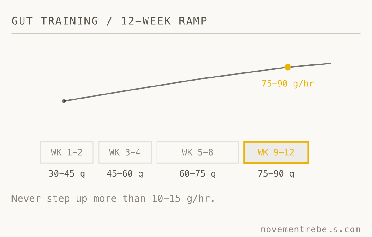 GUT TRAINING / 12-WEEK RAMP. The gut adapts over weeks, not sessions. Step up 10-15 g at a time.