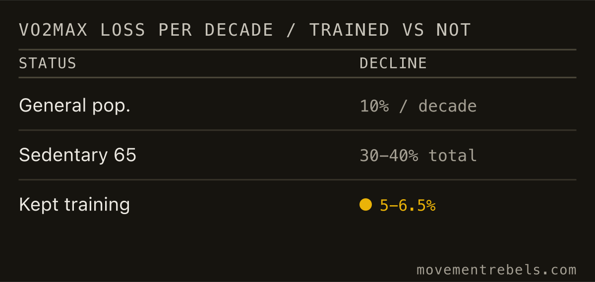 VO2MAX LOSS PER DECADE / TRAINED VS NOT. Keep training hard and you lose 5 to 6 percent a decade, not 30.