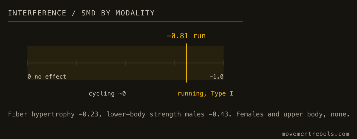 INTERFERENCE / SMD BY MODALITY. Interference is real but small, and running drives it. Cycling barely touches it.