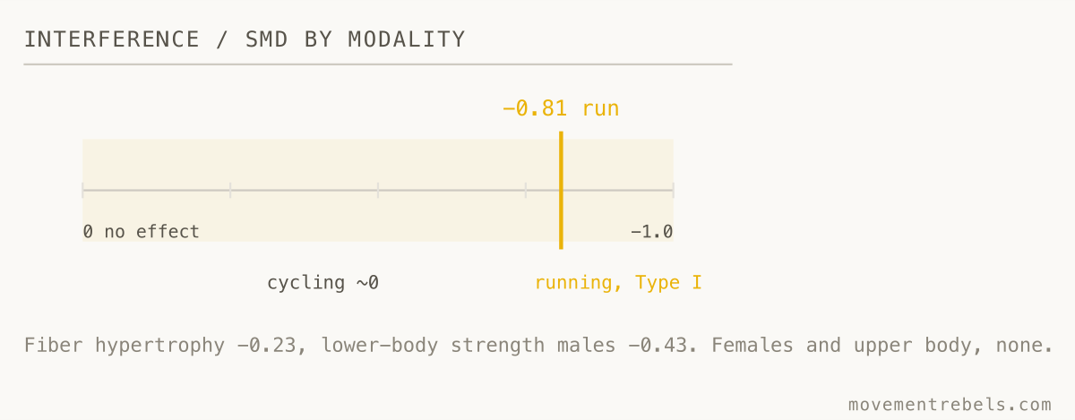 INTERFERENCE / SMD BY MODALITY. Interference is real but small, and running drives it. Cycling barely touches it.
