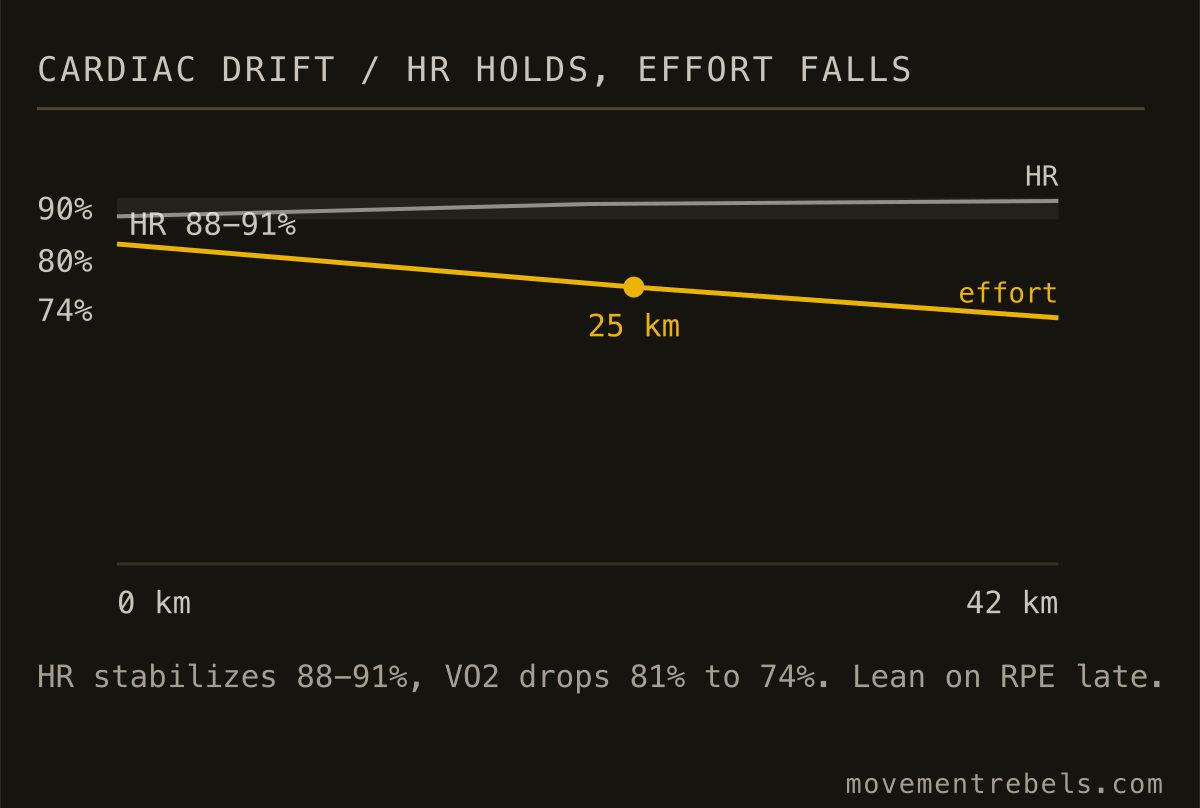 CARDIAC DRIFT / HR HOLDS, EFFORT FALLS. Late in a marathon your HR stays high while real effort drops. The gap opens near 25 km.