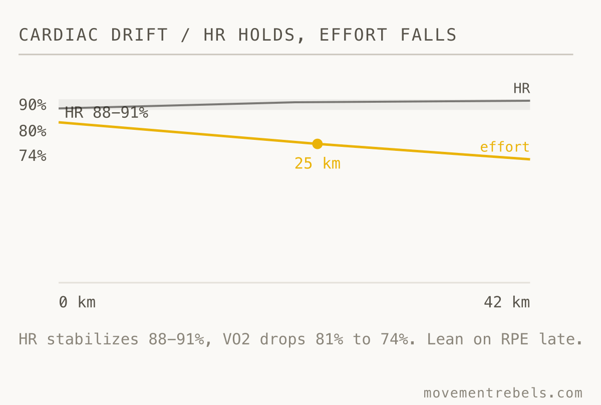 CARDIAC DRIFT / HR HOLDS, EFFORT FALLS. Late in a marathon your HR stays high while real effort drops. The gap opens near 25 km.