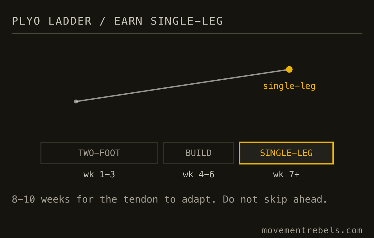 PLYO LADDER / EARN SINGLE-LEG. Six to eight weeks on two-foot basics before you ever land on one leg.