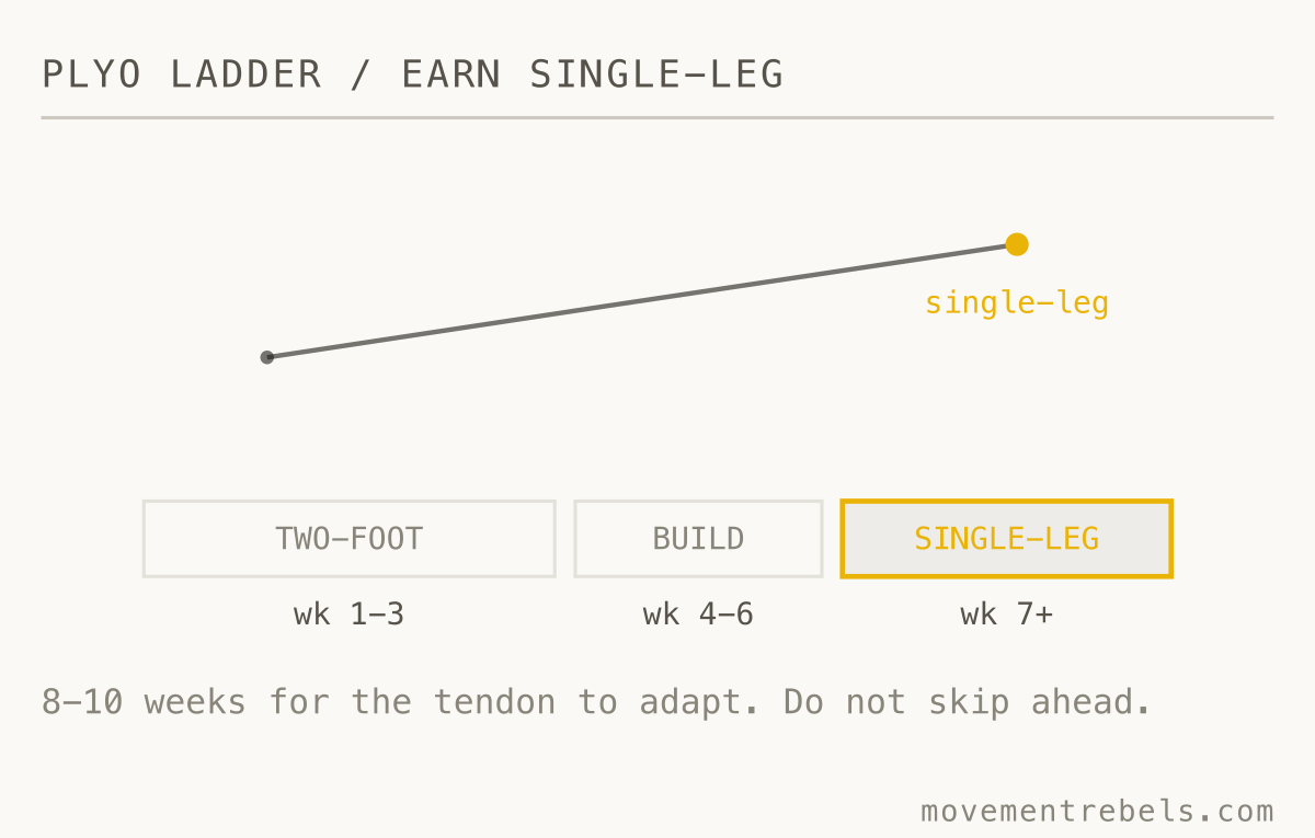PLYO LADDER / EARN SINGLE-LEG. Six to eight weeks on two-foot basics before you ever land on one leg.