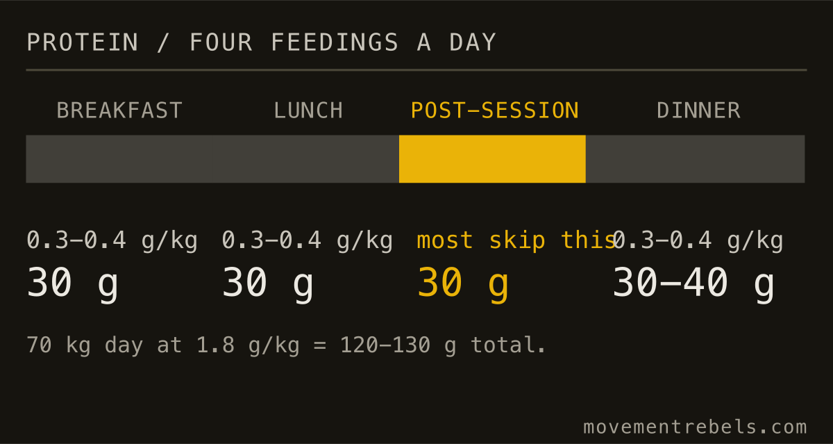 PROTEIN / FOUR FEEDINGS A DAY. Spread it. Four feedings of 0.3-0.4 g/kg beat one big dinner.