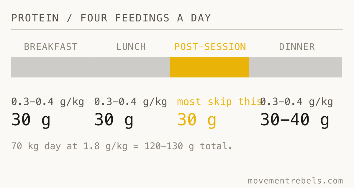 PROTEIN / FOUR FEEDINGS A DAY. Spread it. Four feedings of 0.3-0.4 g/kg beat one big dinner.