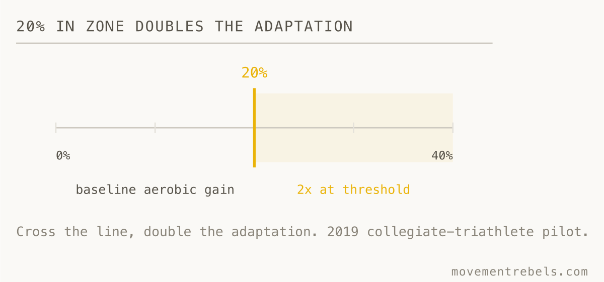 20% IN ZONE DOUBLES THE ADAPTATION. Hit your zone 20% of the time. Double the adaptation.
