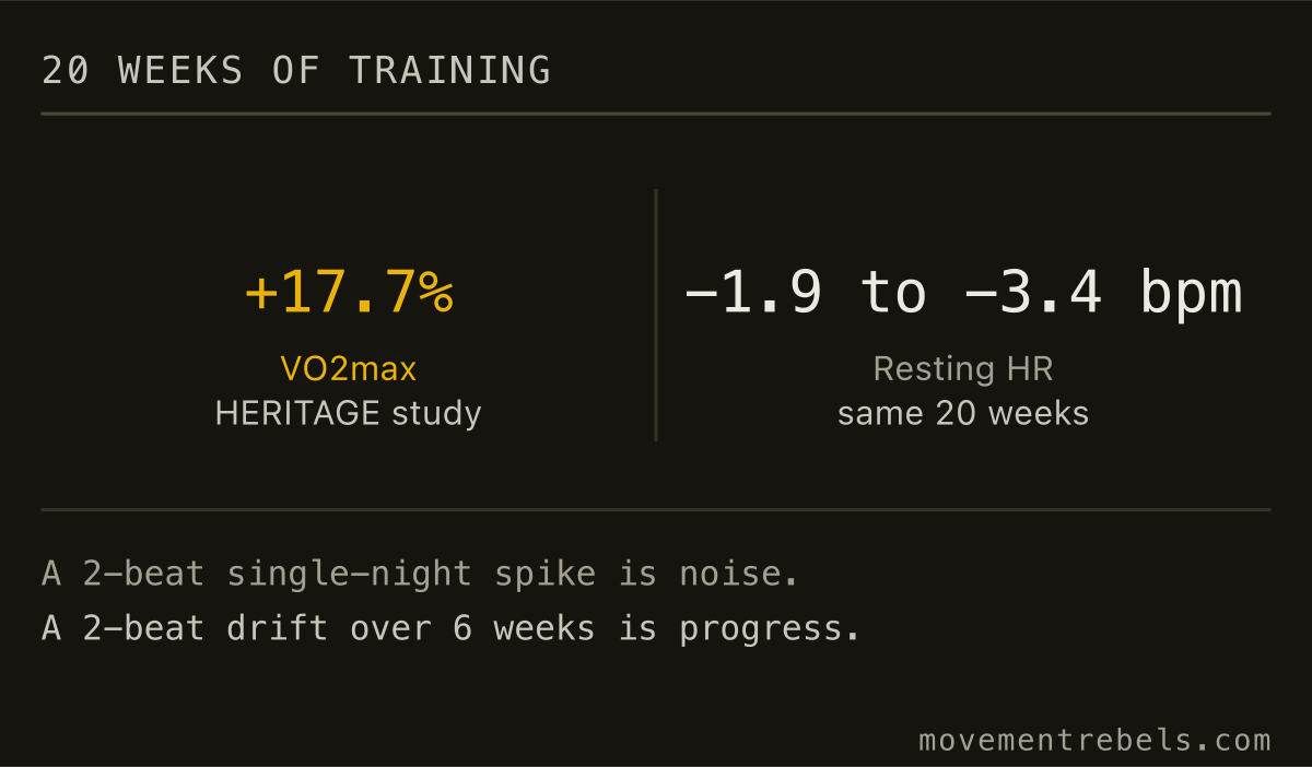 20 WEEKS OF TRAINING. Fitness moves a lot in 20 weeks. Resting HR barely moves. Both are true.