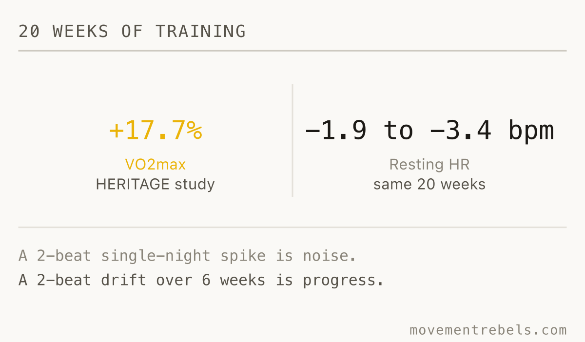 20 WEEKS OF TRAINING. Fitness moves a lot in 20 weeks. Resting HR barely moves. Both are true.