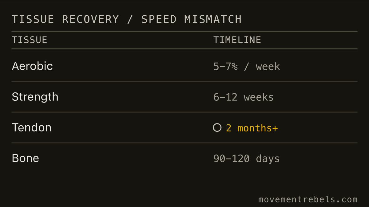 TISSUE RECOVERY / SPEED MISMATCH. Your engine comes back in weeks. Tendon and bone take months.