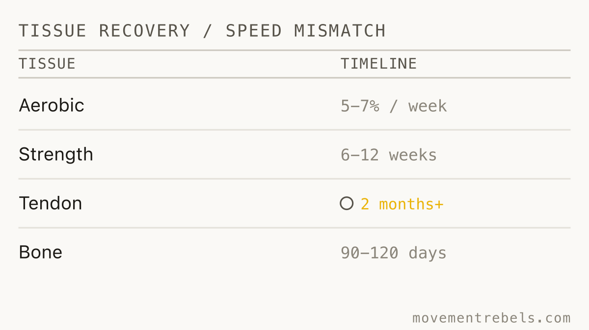 TISSUE RECOVERY / SPEED MISMATCH. Your engine comes back in weeks. Tendon and bone take months.