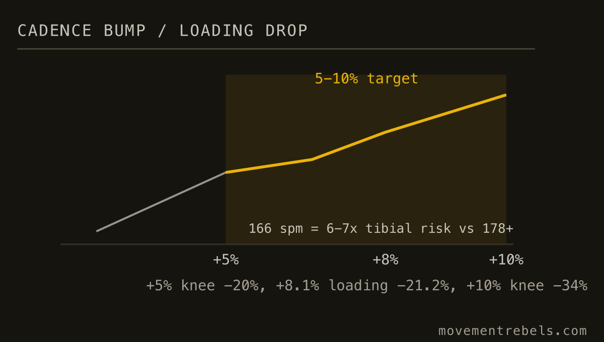 CADENCE BUMP / LOADING DROP. Lift your own cadence 5-10%. Knee load drops up to a third. Forget the magic 180.