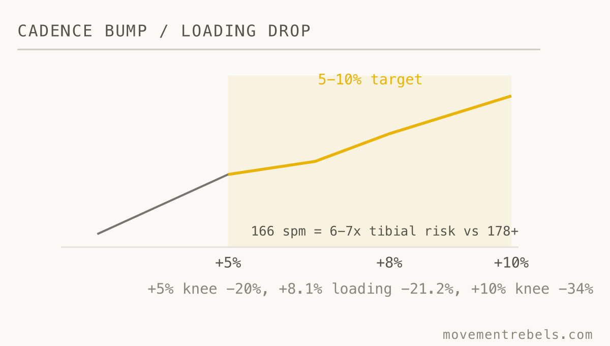 CADENCE BUMP / LOADING DROP. Lift your own cadence 5-10%. Knee load drops up to a third. Forget the magic 180.