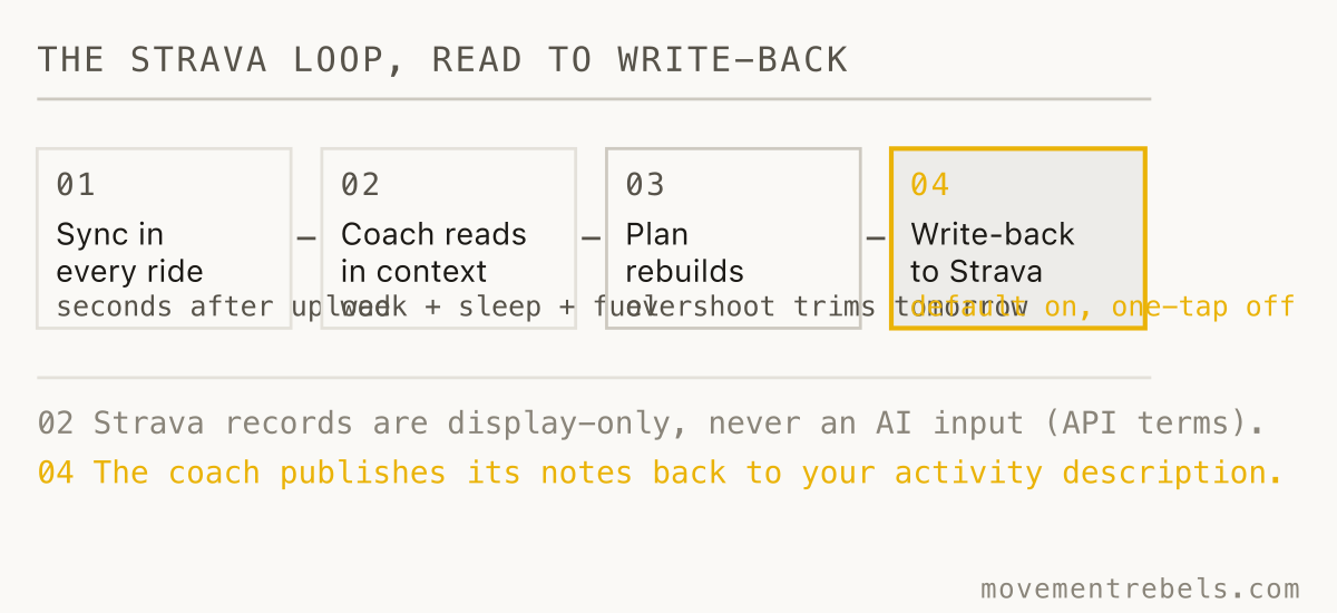 THE STRAVA LOOP, READ TO WRITE-BACK. Strava logs it. The coach reads, replans, writes the debrief back.