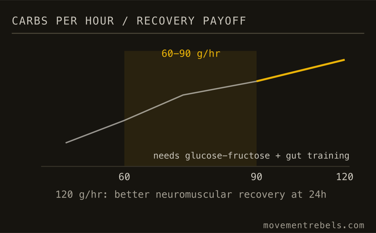 CARBS PER HOUR / RECOVERY PAYOFF. 60 to 90g an hour is the target. Gut-trained athletes hit 120 and recover better.