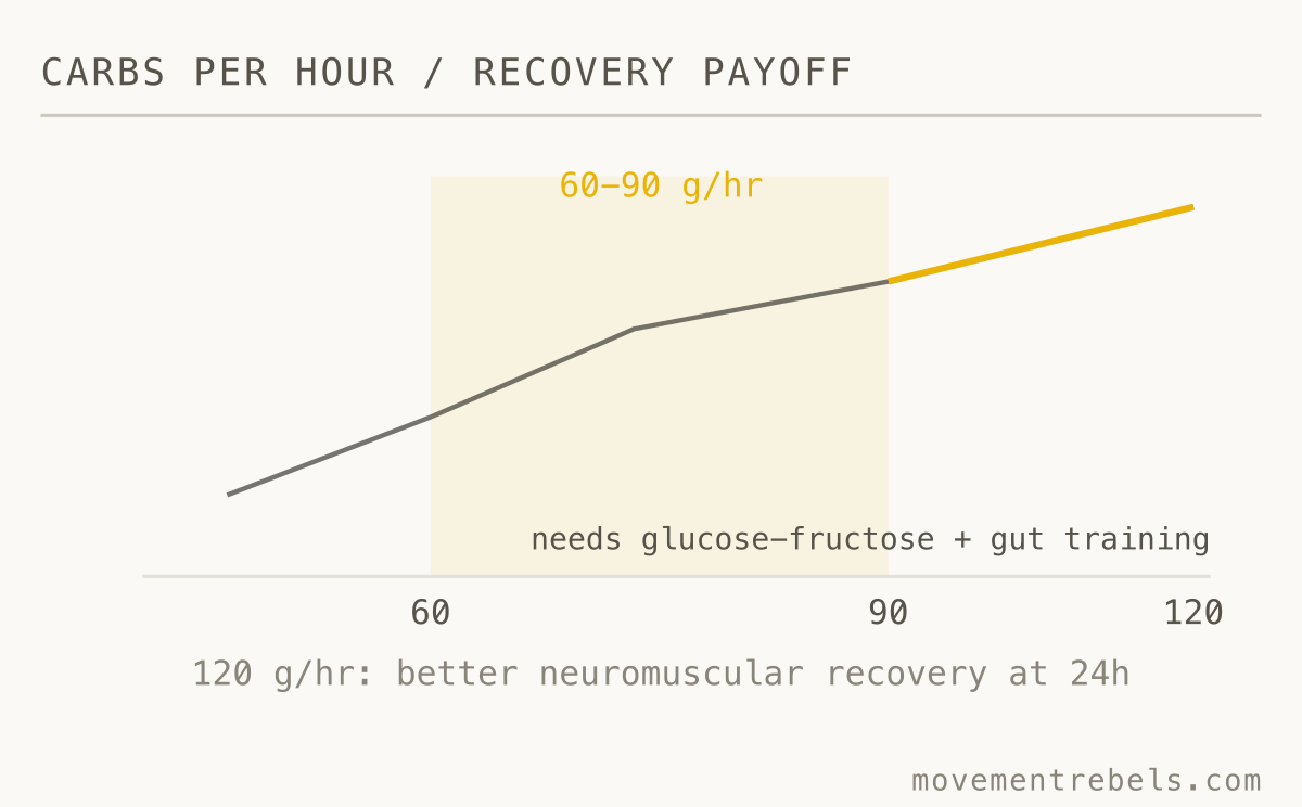 CARBS PER HOUR / RECOVERY PAYOFF. 60 to 90g an hour is the target. Gut-trained athletes hit 120 and recover better.