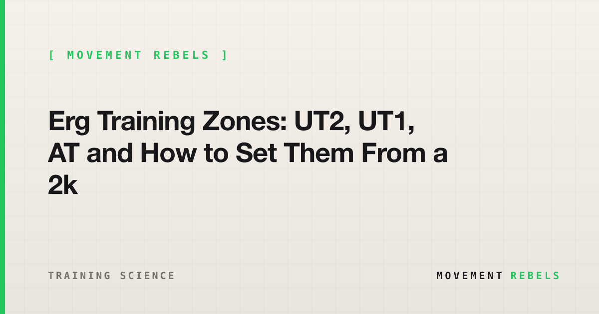 Erg Training Zones: UT2, UT1, AT and How to Set Them From a 2k | Movement Rebels guide